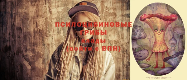 индика Снежинск