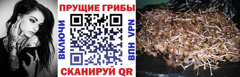 Галлюциногенные грибы мухоморы  Купить закладки  Арзамас 